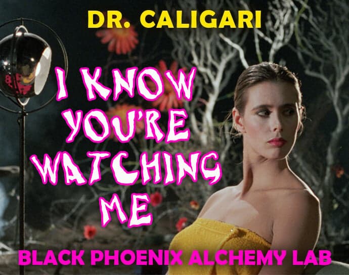 I Know Youre Watching Me by Black Phoenix Alchemy Lab