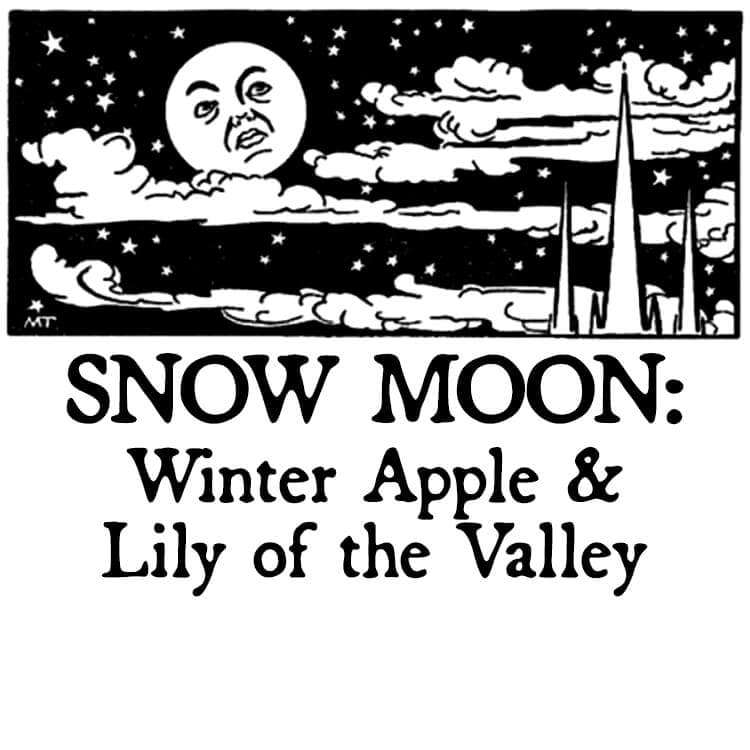 Snow Moon: Winter Apple and Lily of the Valley Hair Gloss by Black Phoenix Alchemy Lab