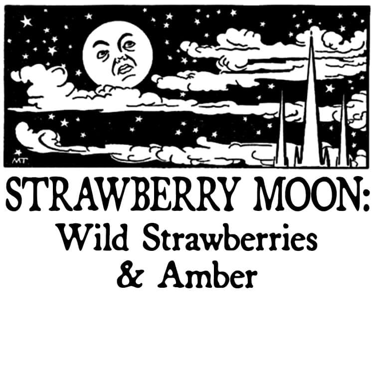 Strawberry Moon : Wild Strawberries and Amber Hair Gloss Perfume Bottle