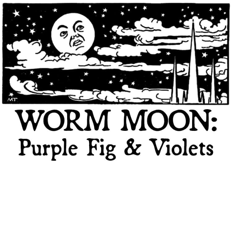 Worm Moon: Purple Fig and Violets Hair Gloss by Black Phoenix Alchemy Lab