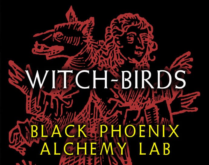 Witch-birds by Black Phoenix Alchemy Lab