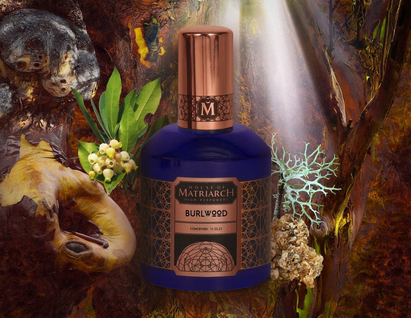 Burlwood by House of Matriarch
