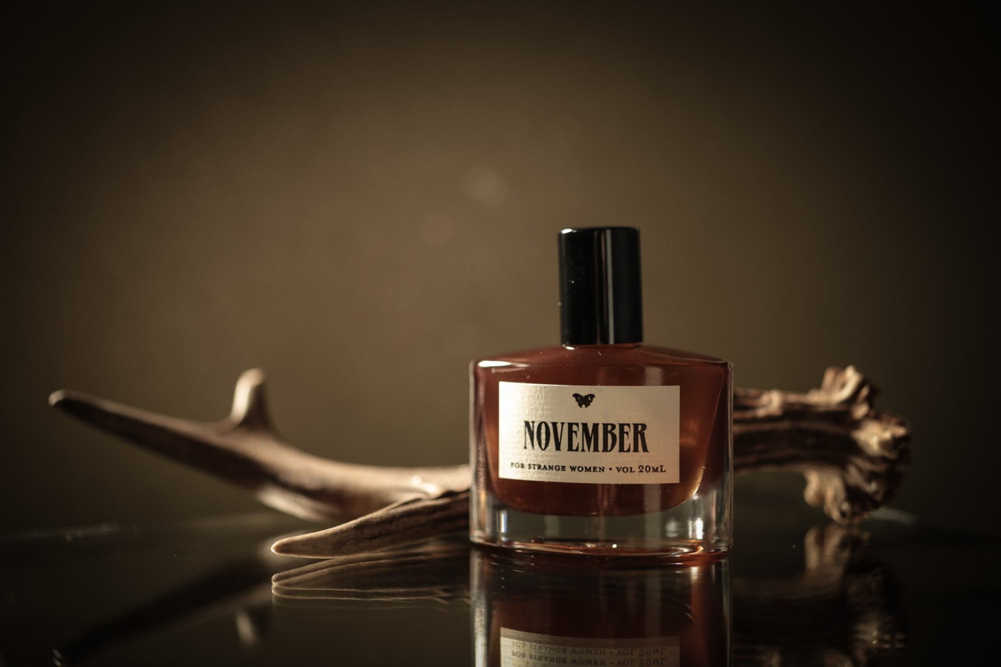 November In The Temperate Deciduous Forest by For Strange Women