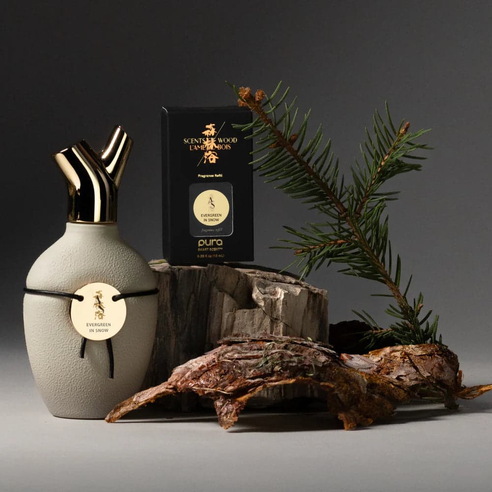 Evergreen In Snow by Scents of Wood