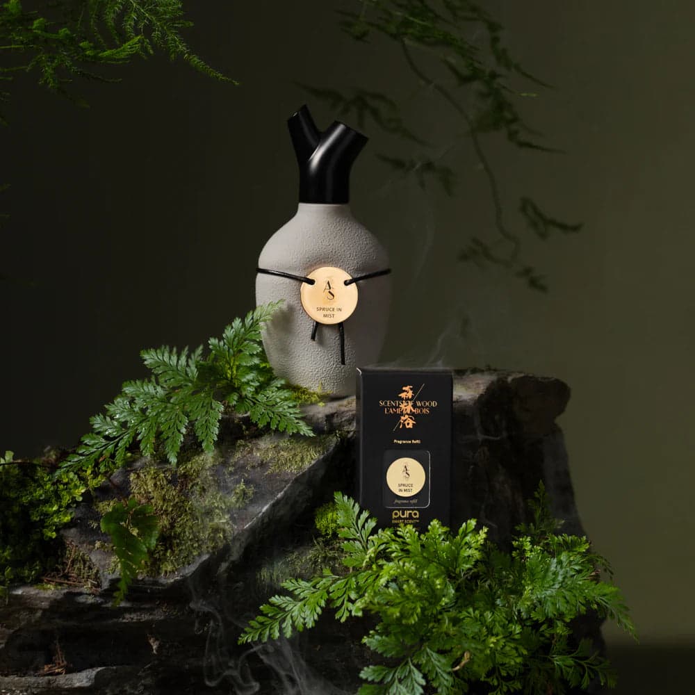 Spruce In Mist by Scents of Wood