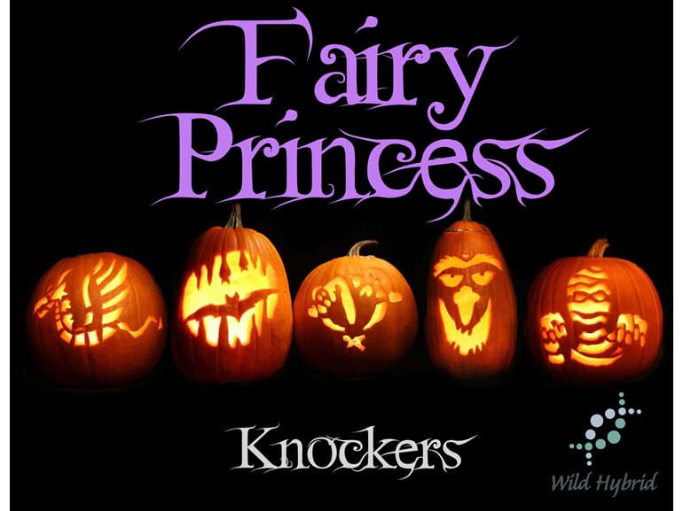 Fairy Princess by Wild Hybrid