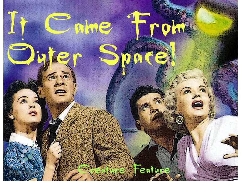 It Came From Outer Space by Wild Hybrid
