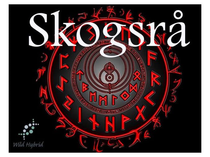 Skogsr by Wild Hybrid