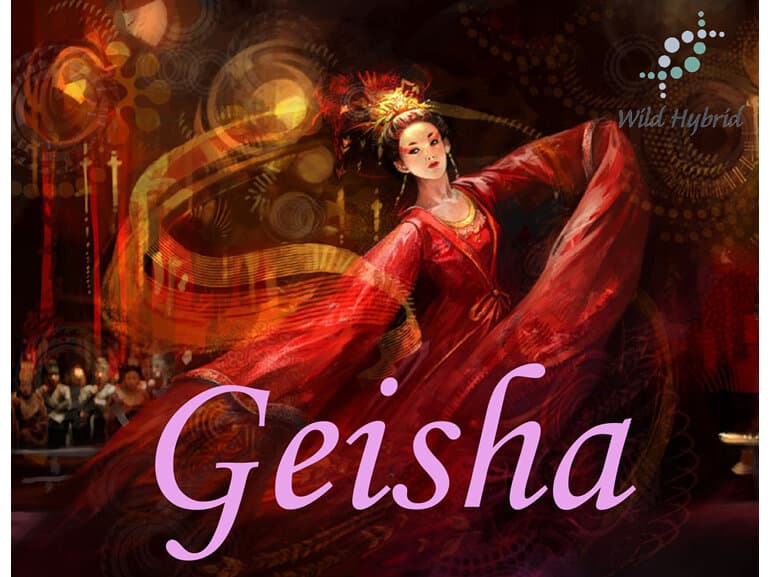 Geisha - Wild Hybrid by Wild Hybrid