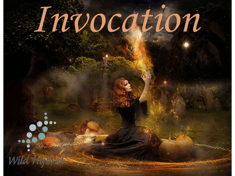 Invocation - Wild Hybrid by Wild Hybrid