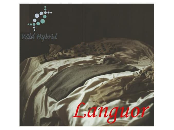 Languor - Wild Hybrid by Wild Hybrid