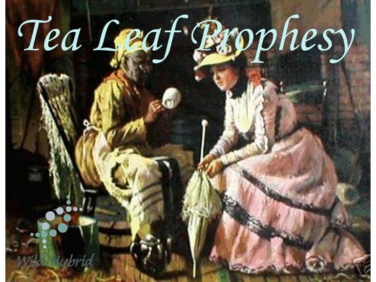 Tea Leaf Prophesy by Wild Hybrid
