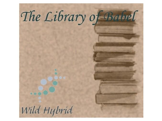 The Library Of Babel by Wild Hybrid
