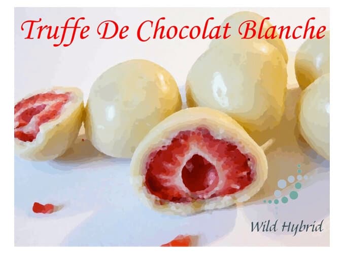 Truffe De Chocolat Blanche by Wild Hybrid