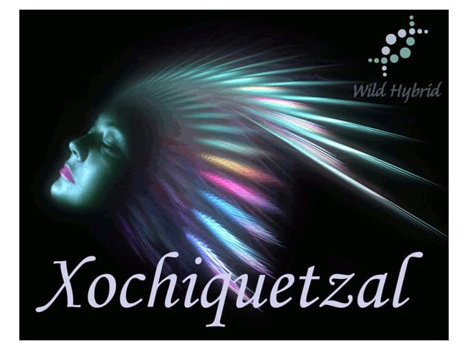 Xochiquetzal by Wild Hybrid