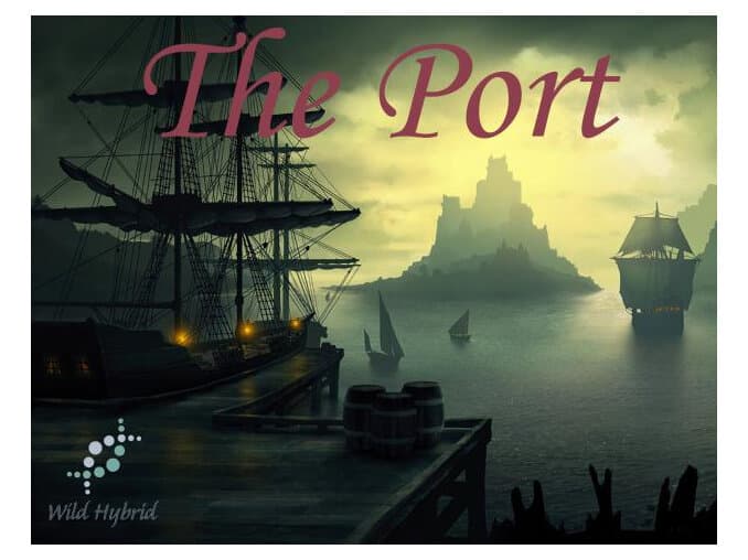 The Port by Wild Hybrid