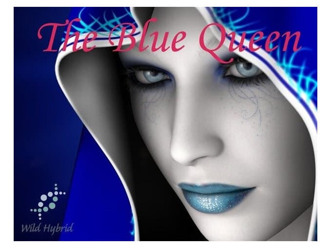 The Blue Queen by Wild Hybrid