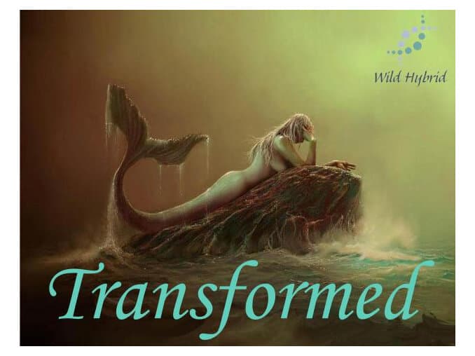 Transformed by Wild Hybrid