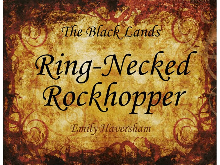 Ring-necked Rockhopper by Wild Hybrid