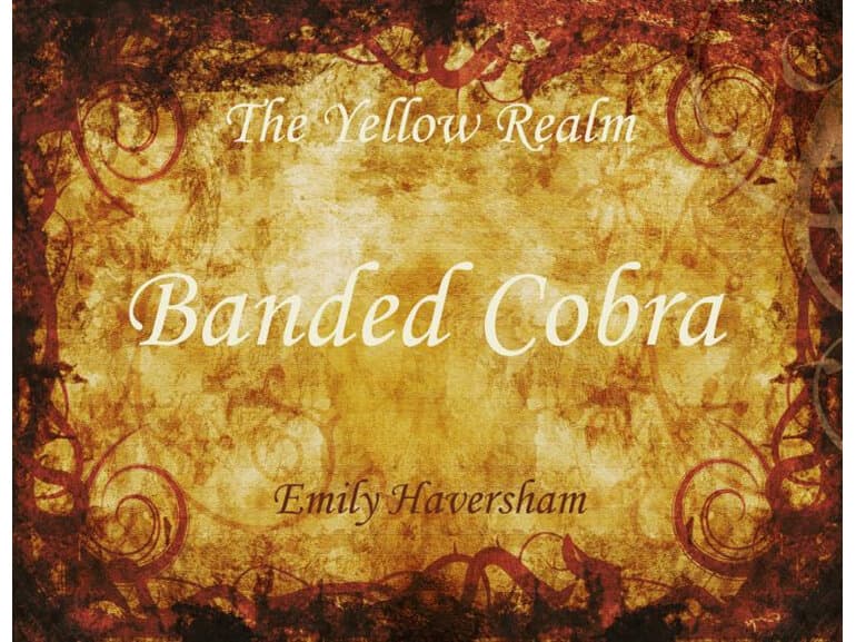 Banded Cobra by Wild Hybrid