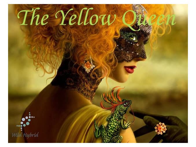 The Yellow Queen by Wild Hybrid