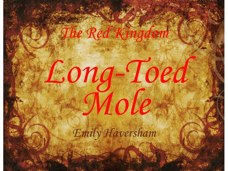 Long-toed Mole by Wild Hybrid