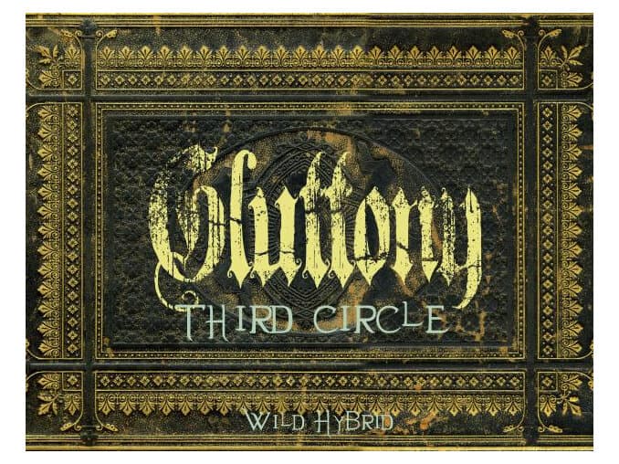 Third Circle by Wild Hybrid