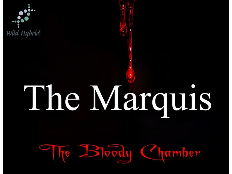 The Marquis by Wild Hybrid