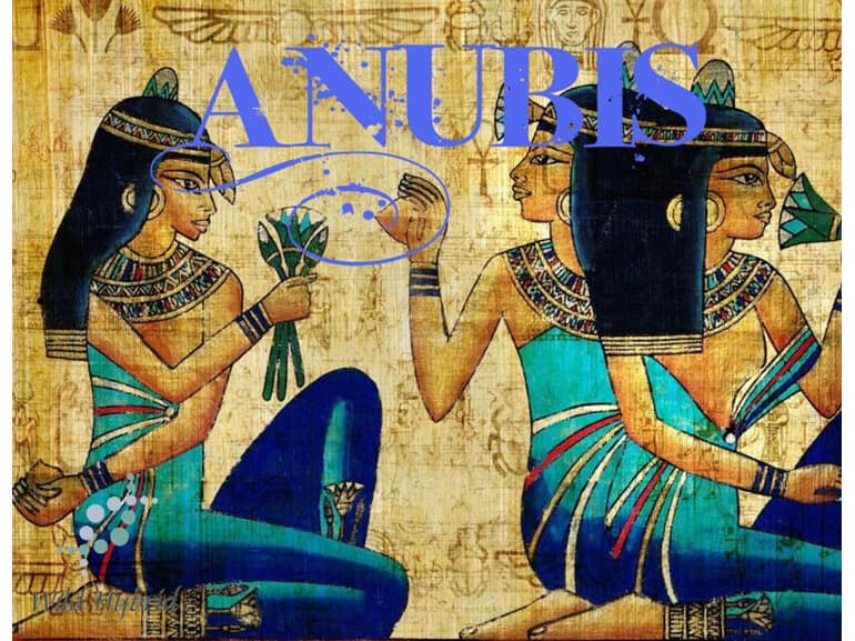 Anubis - Wild Hybrid by Wild Hybrid
