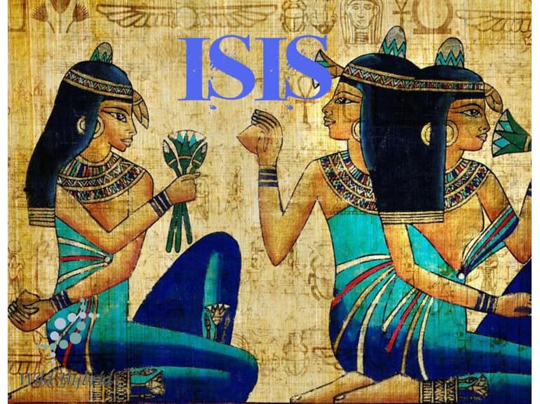 Isis - Wild Hybrid by Wild Hybrid