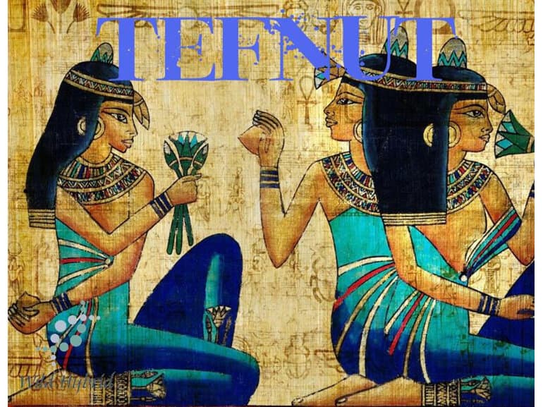 Tefnut by Wild Hybrid