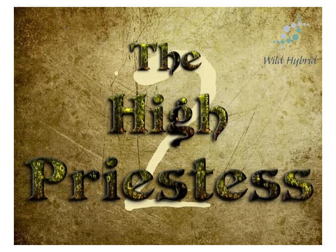 2 - The High Priestess by Wild Hybrid