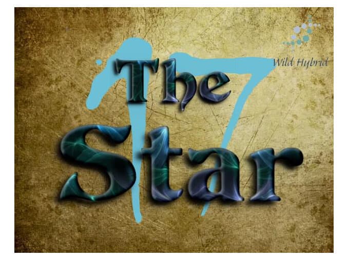 17 - The Star by Wild Hybrid