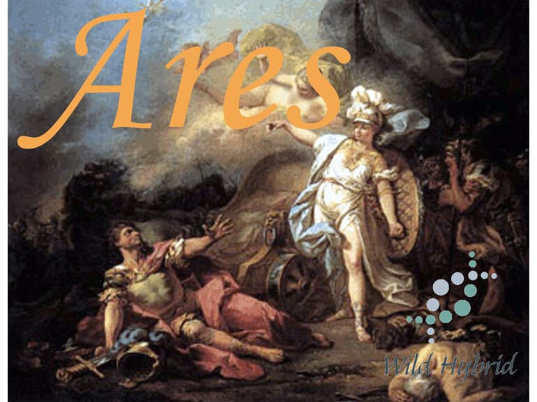 Ares - Wild Hybrid by Wild Hybrid