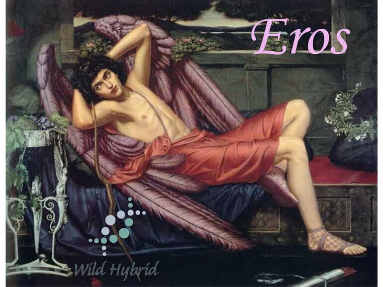 Eros - Wild Hybrid by Wild Hybrid