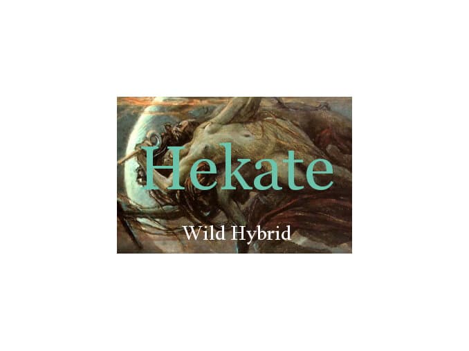 Hekate - Wild Hybrid by Wild Hybrid