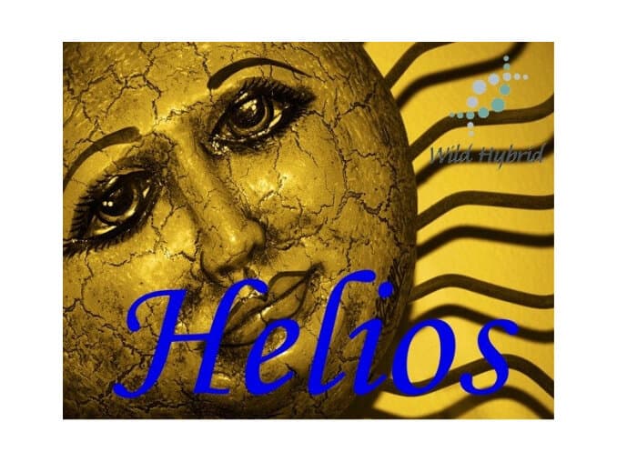 Helios - Wild Hybrid by Wild Hybrid