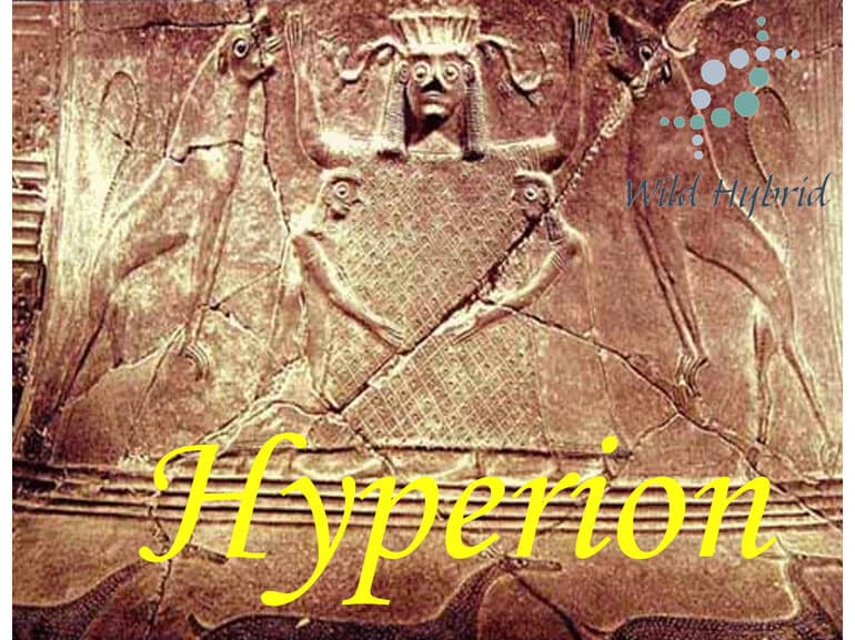 Hyperion by Wild Hybrid