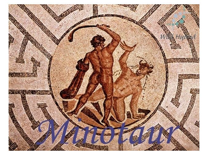 Minotaur by Wild Hybrid
