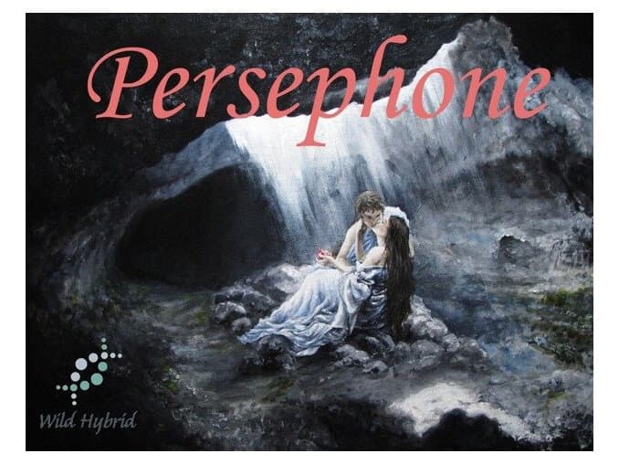 Persephone - Wild Hybrid by Wild Hybrid