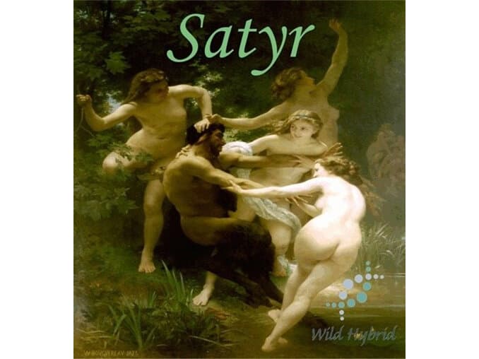 Satyr - Wild Hybrid by Wild Hybrid