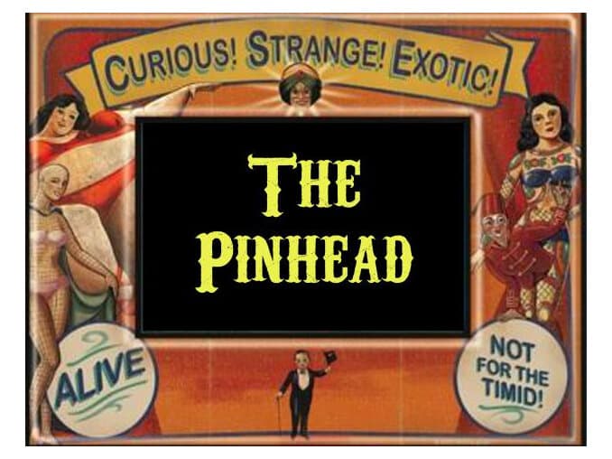 The Pinhead by Wild Hybrid
