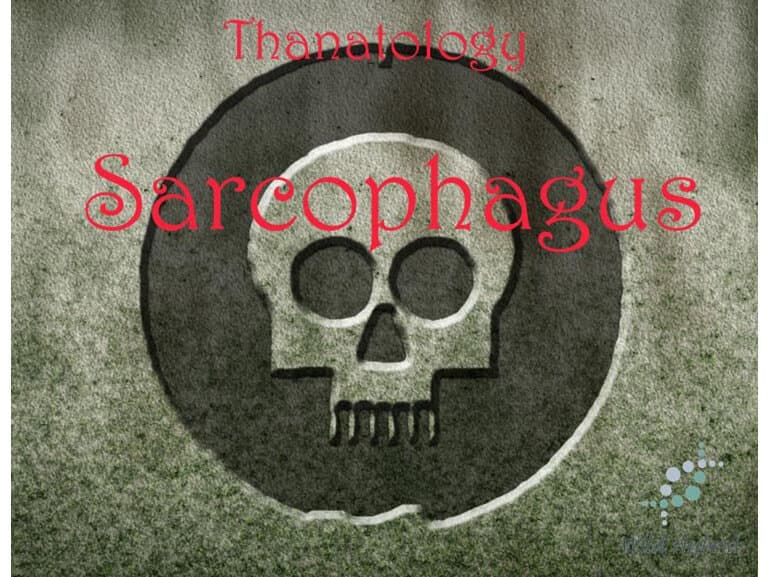 Sarcophagus by Wild Hybrid