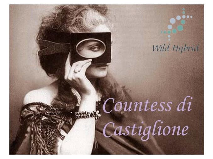 Countess Di Castiglione by Wild Hybrid