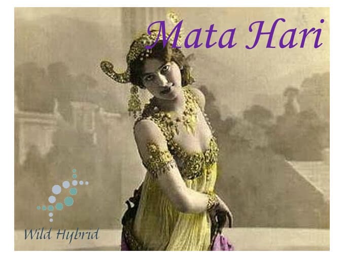 Mata Hari - Wild Hybrid by Wild Hybrid