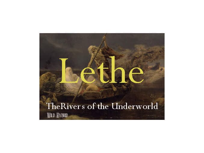 Lethe - Wild Hybrid by Wild Hybrid