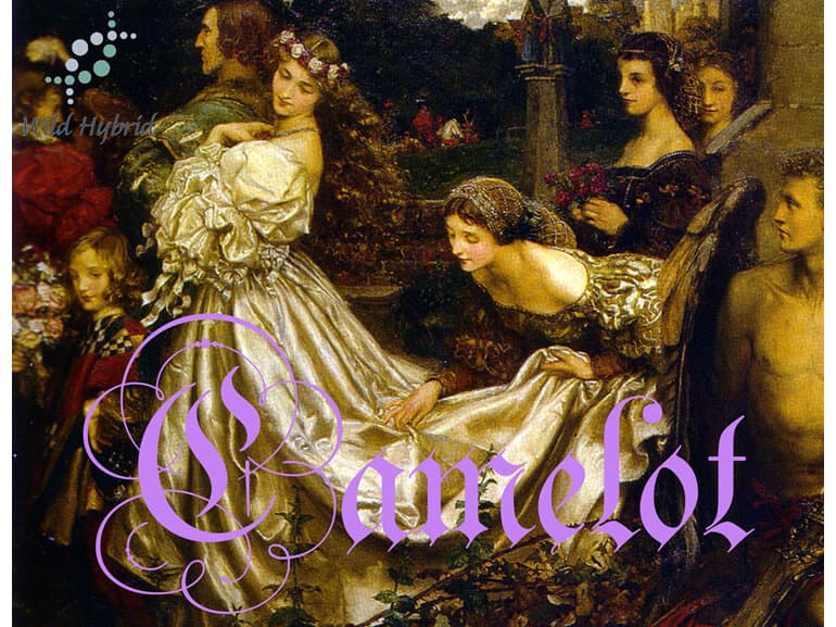 Camelot by Wild Hybrid