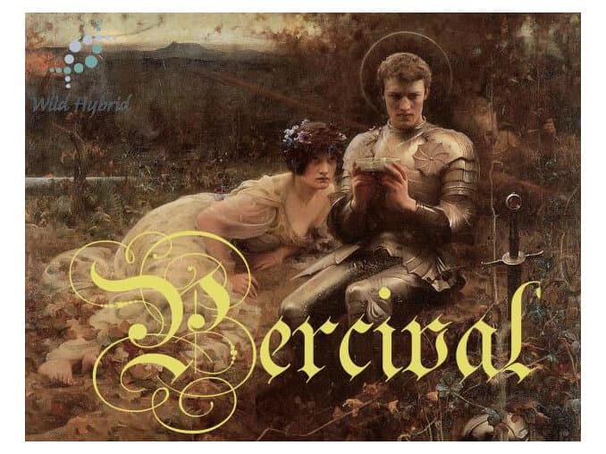 Percival by Wild Hybrid