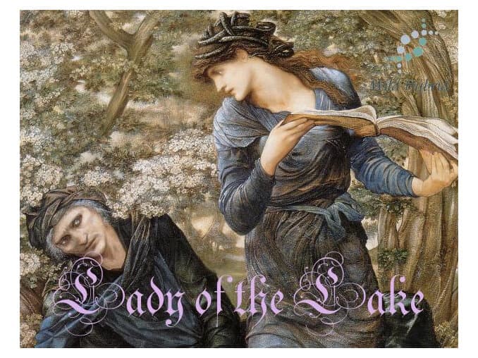 Lady Of The Lake - Wild Hybrid by Wild Hybrid
