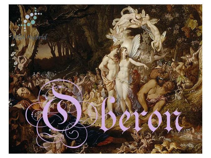 Oberon - Wild Hybrid by Wild Hybrid